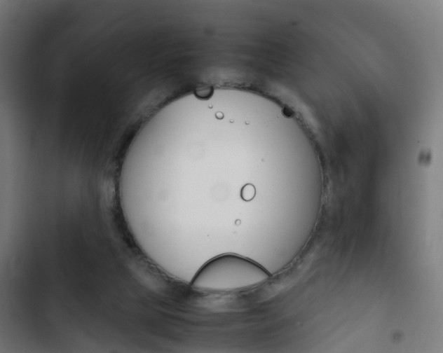 X0000103410065200809120958