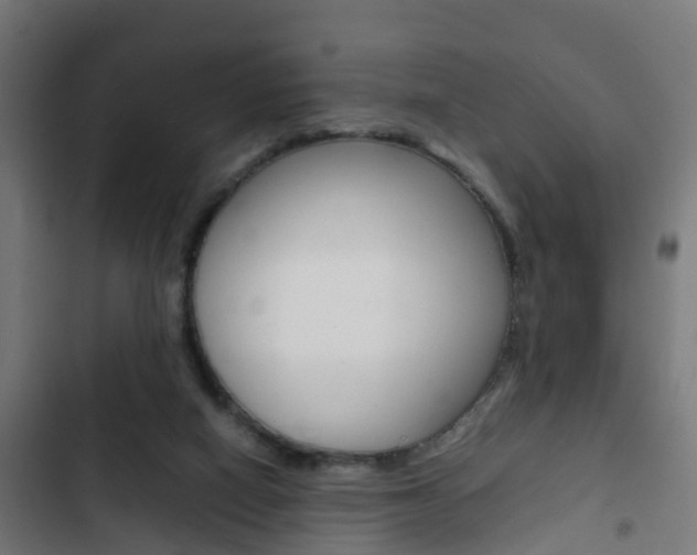 X0000103410066200809120958