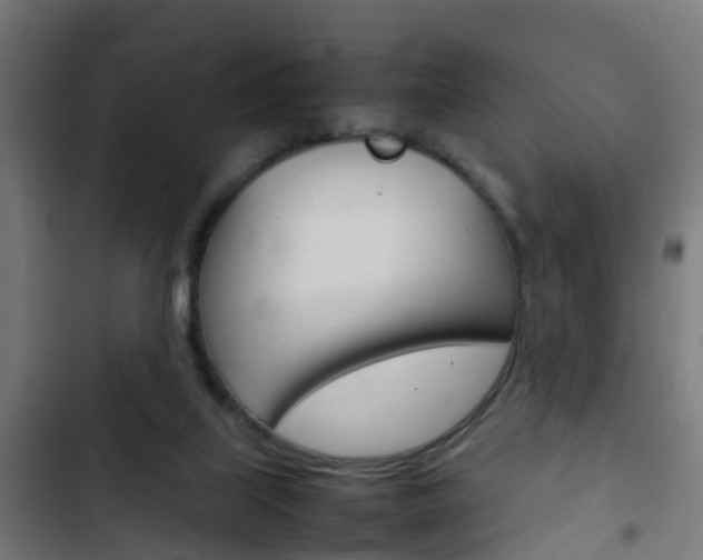 X0000103410067200809120958