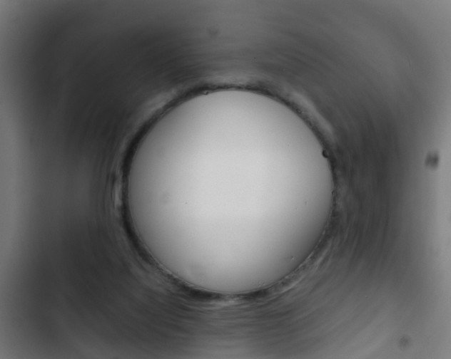 X0000103410068200809120958