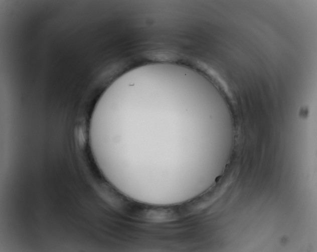 X0000103410069200809120958