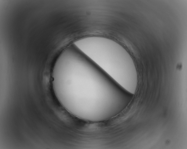 X0000103410072200809120958