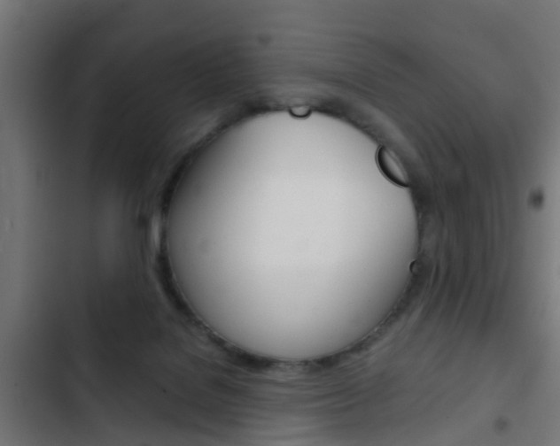 X0000103410076200809120958