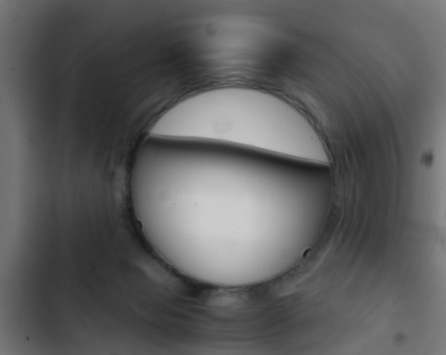 X0000103410077200809120958