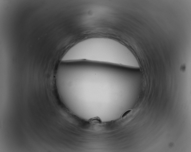 X0000103410078200809120958