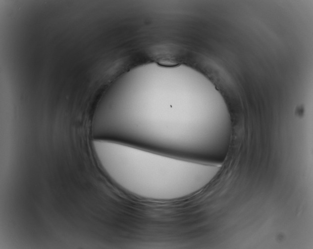 X0000103410081200809120958