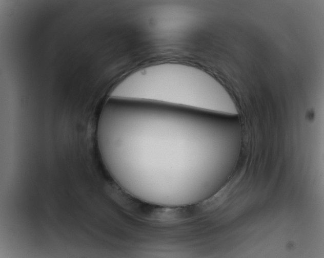 X0000103410082200809120958