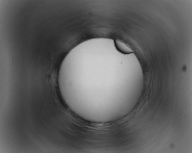 X0000103410083200809120958