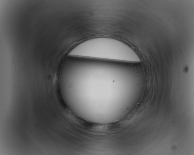 X0000103410084200809120958