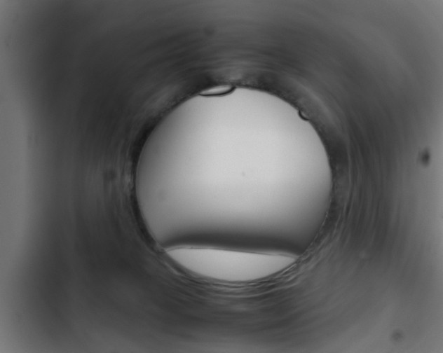 X0000103410085200809120958