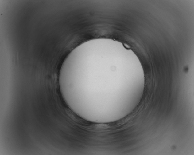 X0000103410087200809120958