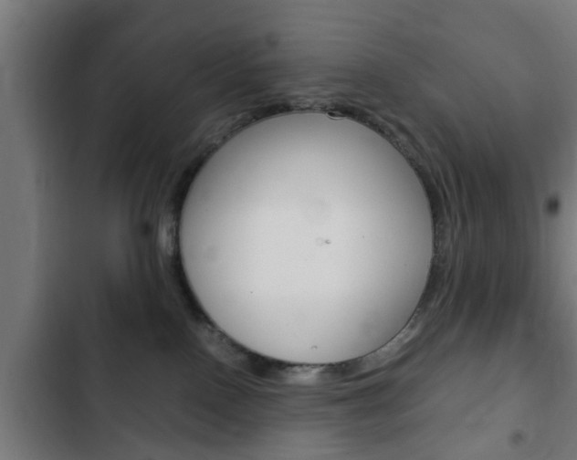 X0000103410090200809120959