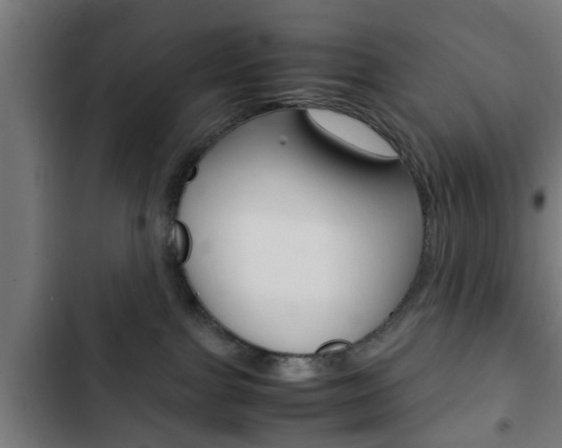 X0000103410091200809120959