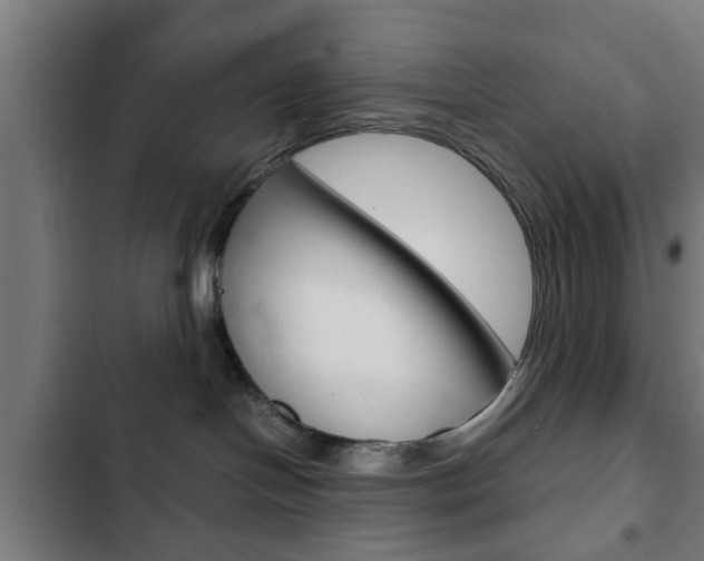 X0000103410094200809120959