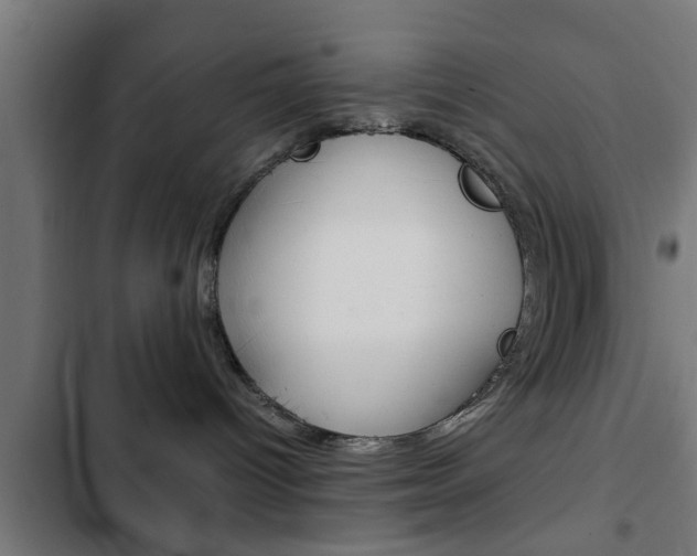 X0000103410096200809120959