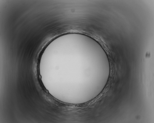 X0000103410098200809120958