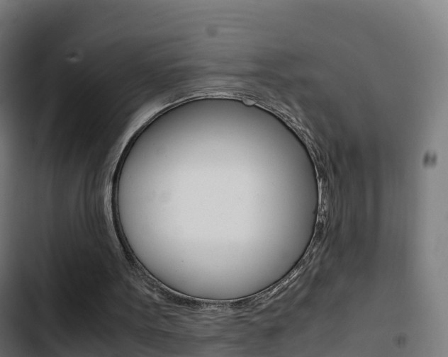 X0000103410099200809120958