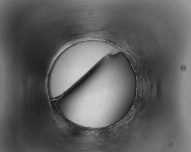 X0000103410100200809120958