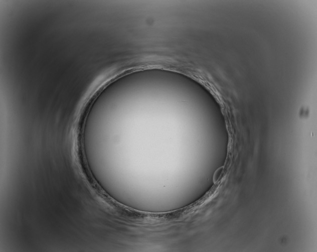 X0000103410101200809120958