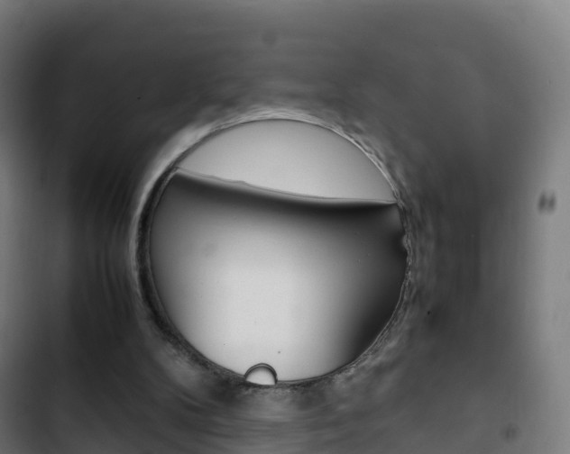 X0000103410104200809120958