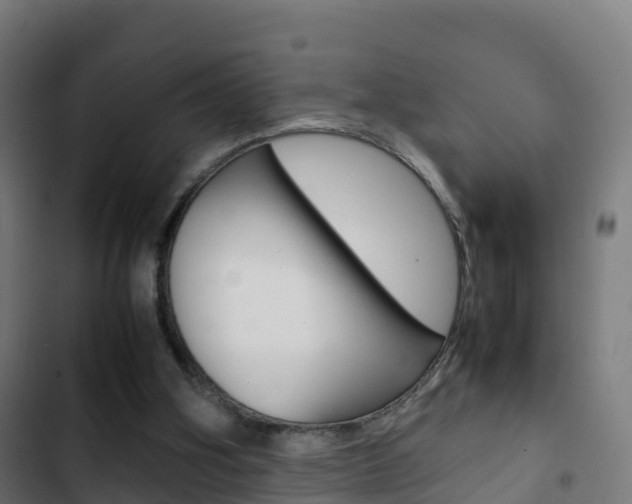 X0000103410106200809120958
