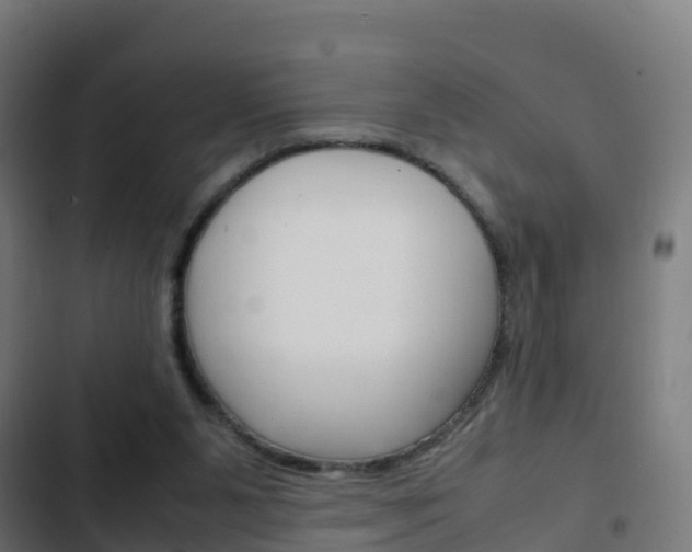 X0000103410111200809120958