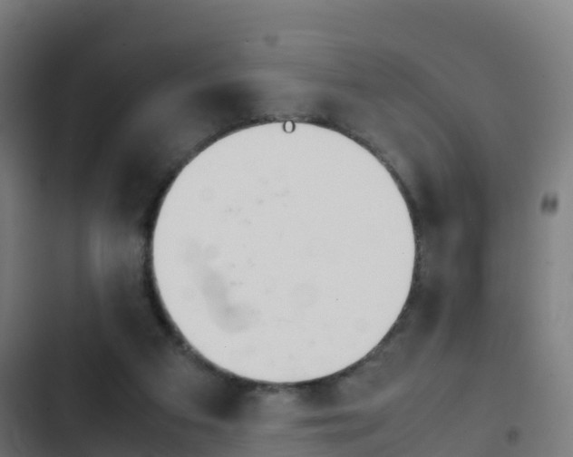 X0000103410113200809120958