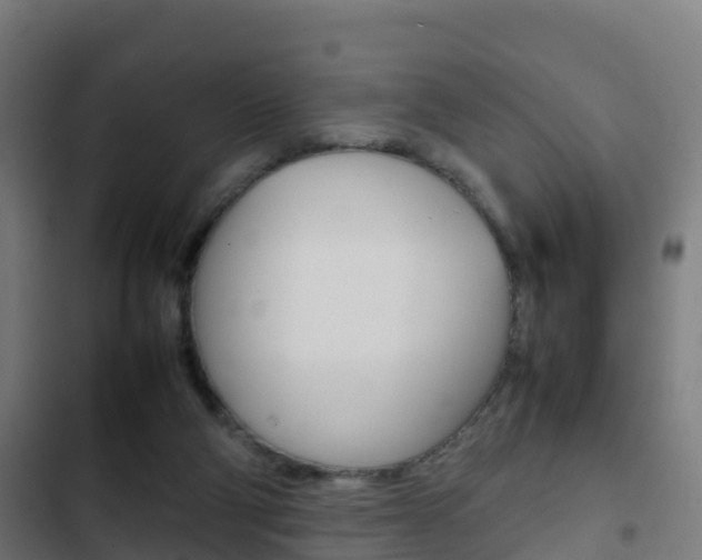 X0000103410114200809120958