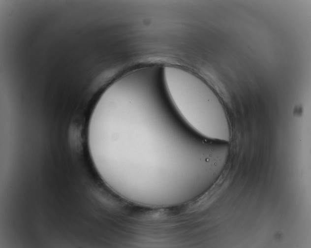 X0000103410116200809120958