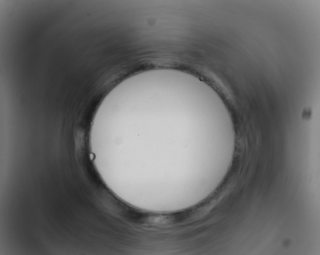 X0000103410117200809120958