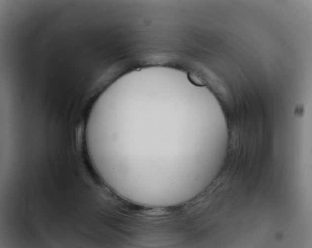 X0000103410118200809120958