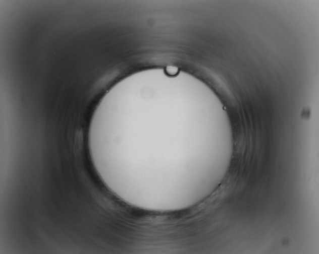 X0000103410120200809120958