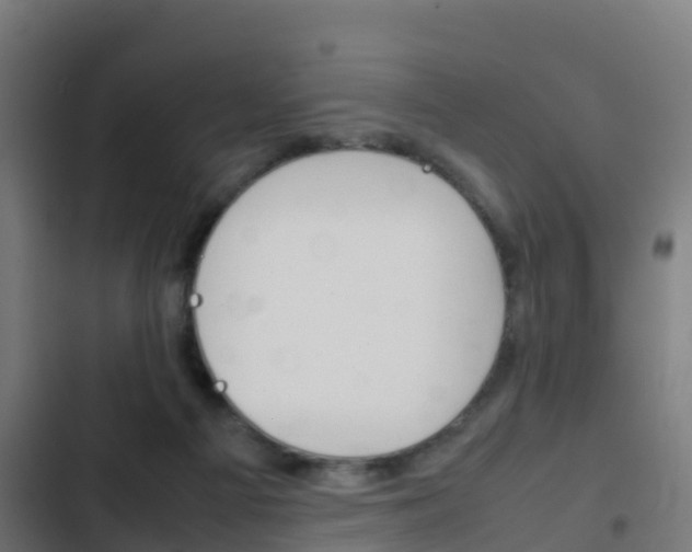 X0000103410121200809120958