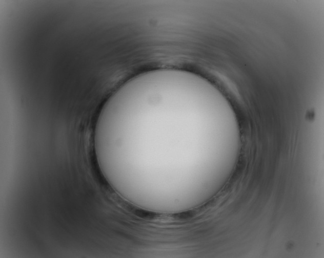 X0000103410123200809120958