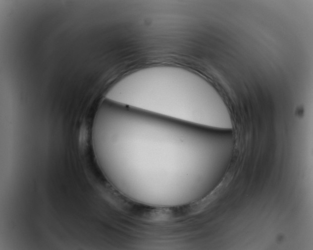 X0000103410124200809120958