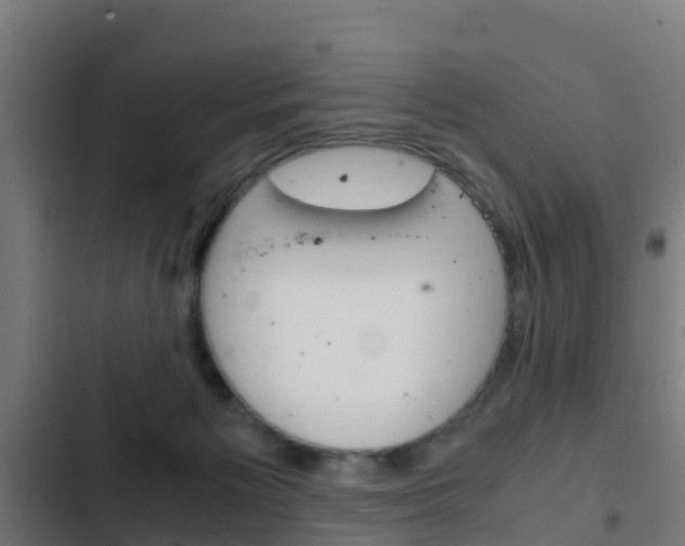 X0000103410125200809120958