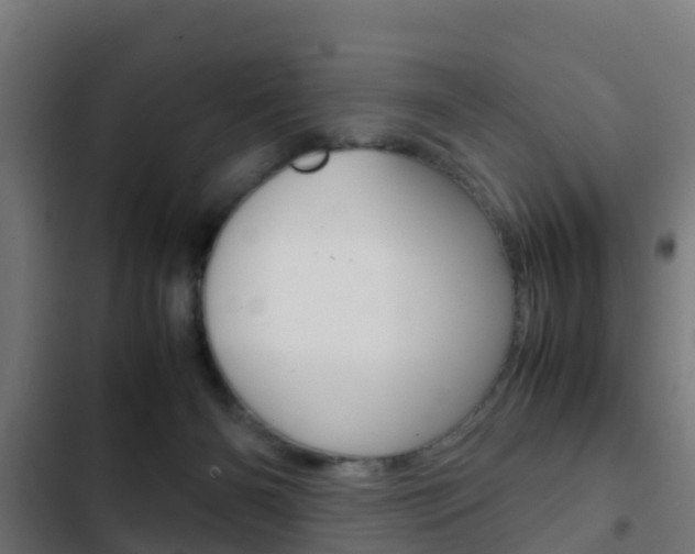 X0000103410126200809120958