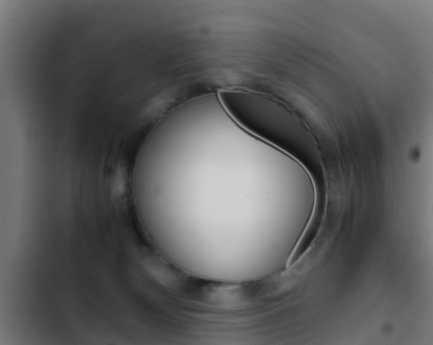 X0000103410132200809120957