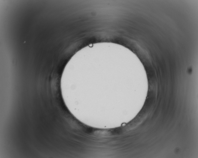 X0000103410133200809120957