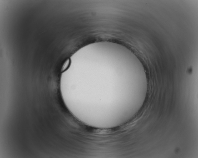 X0000103410135200809120957