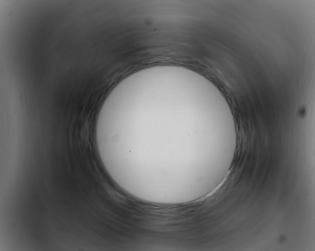 X0000103410136200809120957