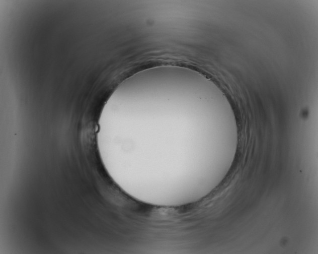 X0000103410137200809120957