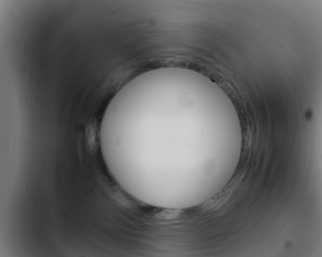 X0000103410138200809120957