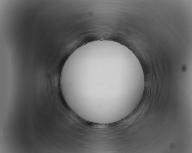 X0000103410139200809120957