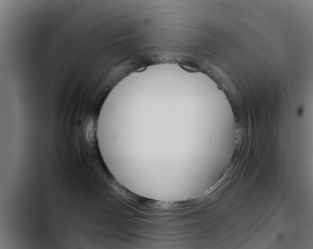 X0000103410142200809120957