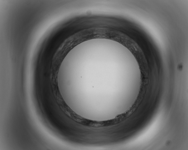 X0000103410143200809120957