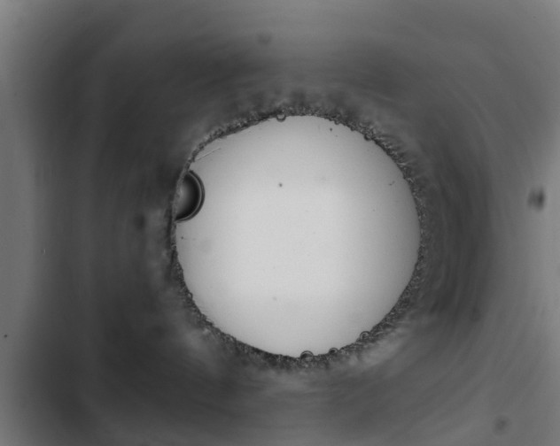 X0000103410144200809120957