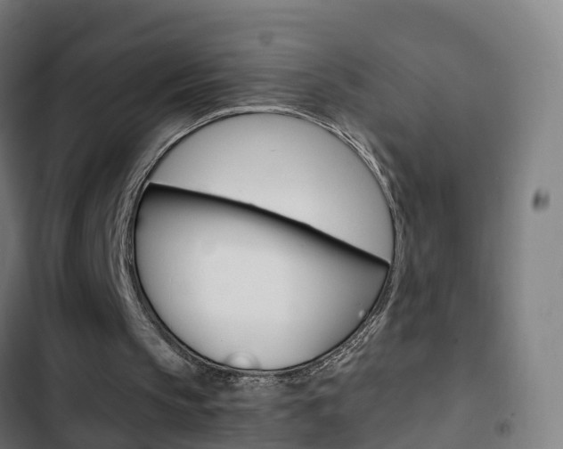 X0000103410145200809120957