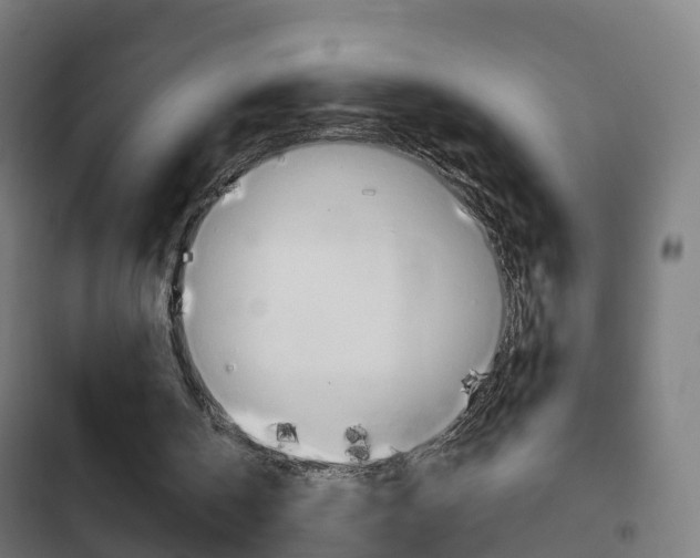 X0000103410146200809120957