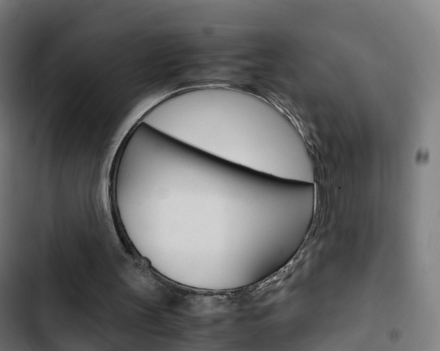 X0000103410147200809120957
